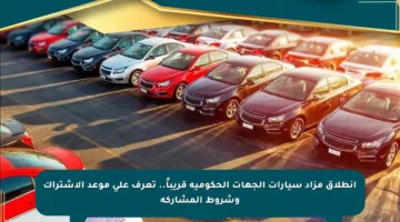 انطلاق مزاد سيارات الجهات الحكومية قريباً.. تعرف على موعد الاشتراك وشروط المشاركة
